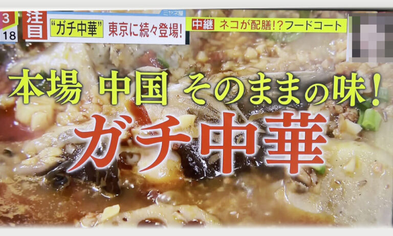 マツコ」と「ミヤネ屋」が選んだテレビ映えする「ガチ中華」の共通点