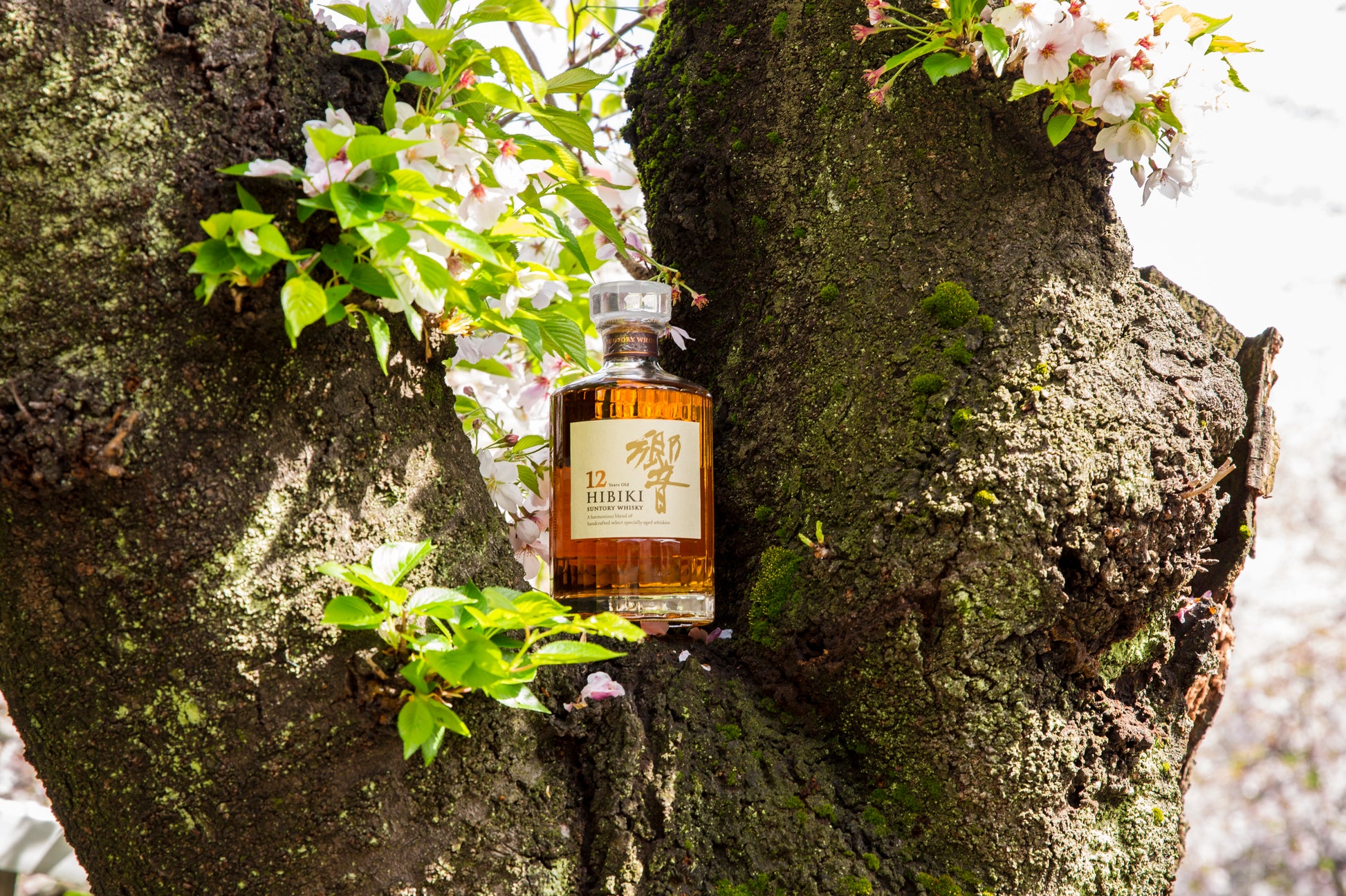 Hibiki 12 Years Old - No Box | Japanese Blended Whisky | dekantā