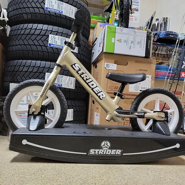 ストライダー プロ 10周年記念モデル ストライダー 10周年限定モデル