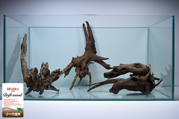 商品情報 デルフィス