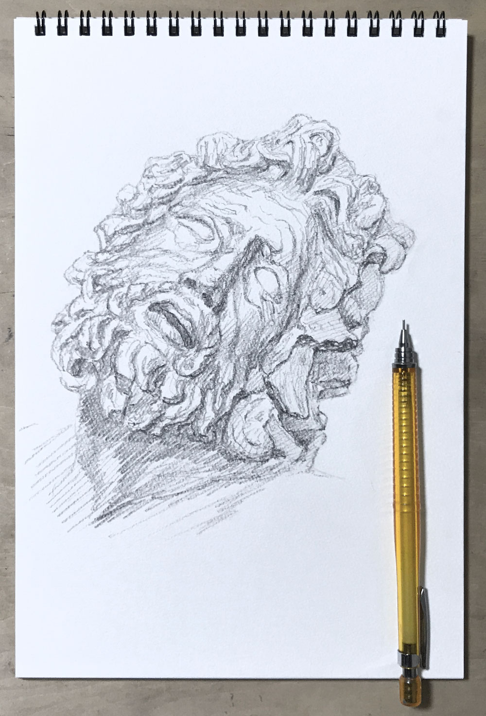 ラオコーン石膏像・シャーペンスケッチ | 絵画探究ブログ