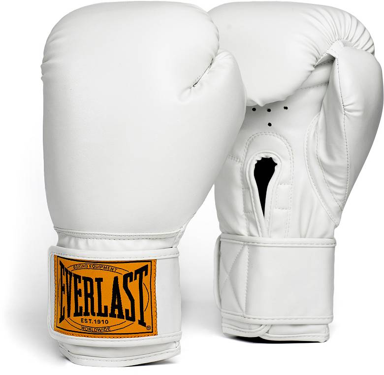 Everlast 1910 Classic Boxing Gloves | Dick's Sporting Goods