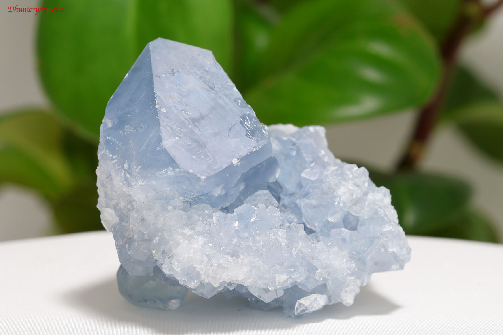 セレスタイト 原石 374g クラスター マダガスカル産 天青石