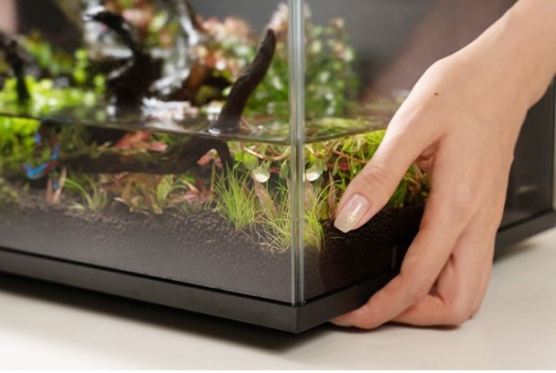 スマホからのリモート操作が便利！中国で大ヒットしたスマート水槽