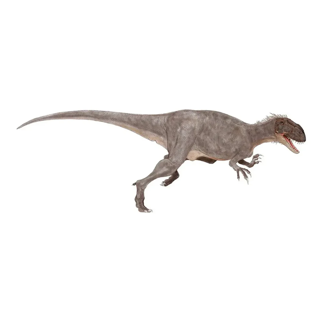 ニジェール アフロベナトル フットクロウ 化石 /ティラノサウルス