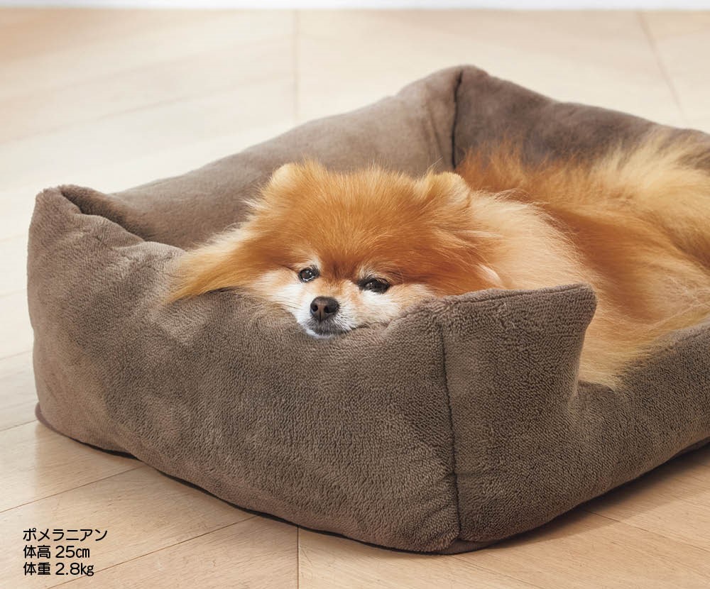 ペット専用のこたつをディノスが新発売！ヒーターなどの熱源を使わない