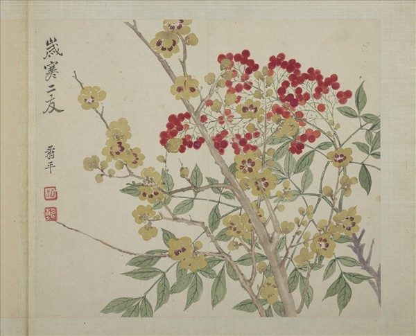 清惲壽平畫花卉冊歲寒二友- 故宮