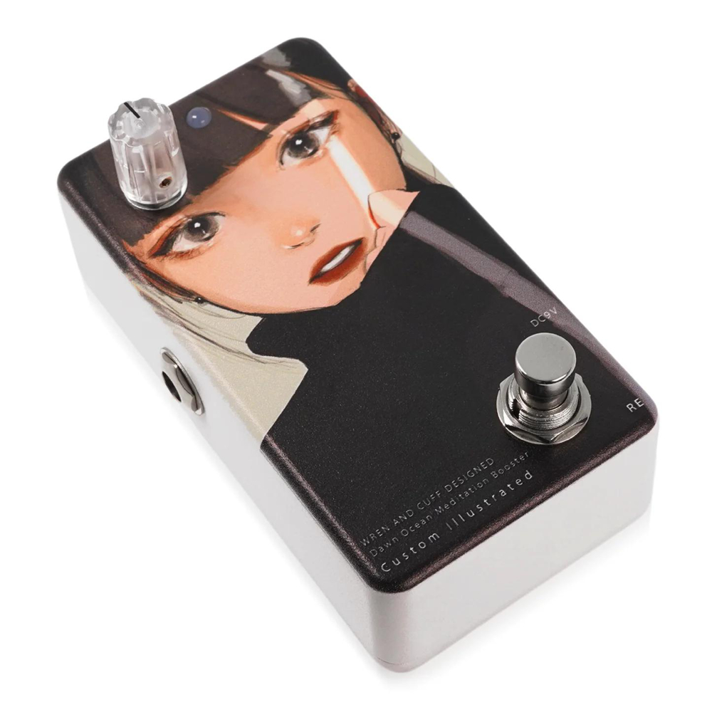 ギター animals pedal custom Illustrated 037 Custom Illustrated