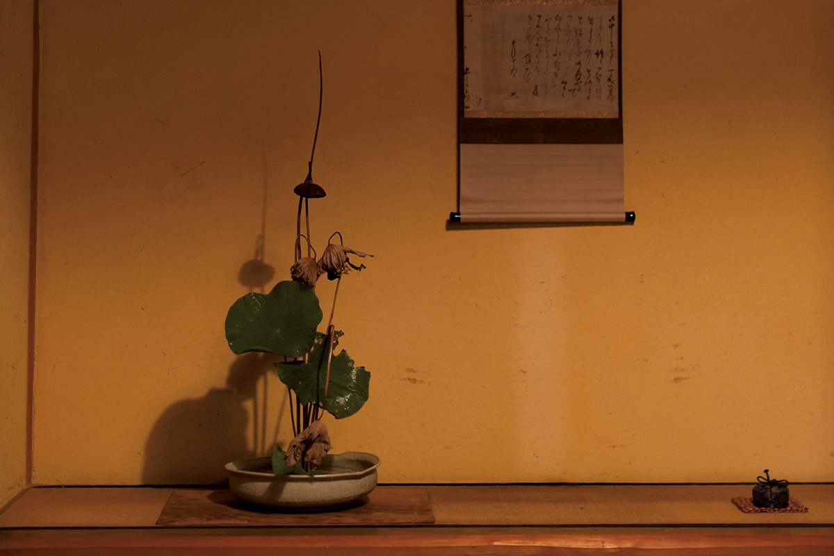 土楽窯七代目・福森雅武「うつわに捧げた人生」 | Discover Japan