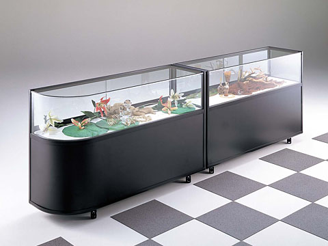 カウンターショーケース | ガラスショーケースの制作・通販なら石山製作所