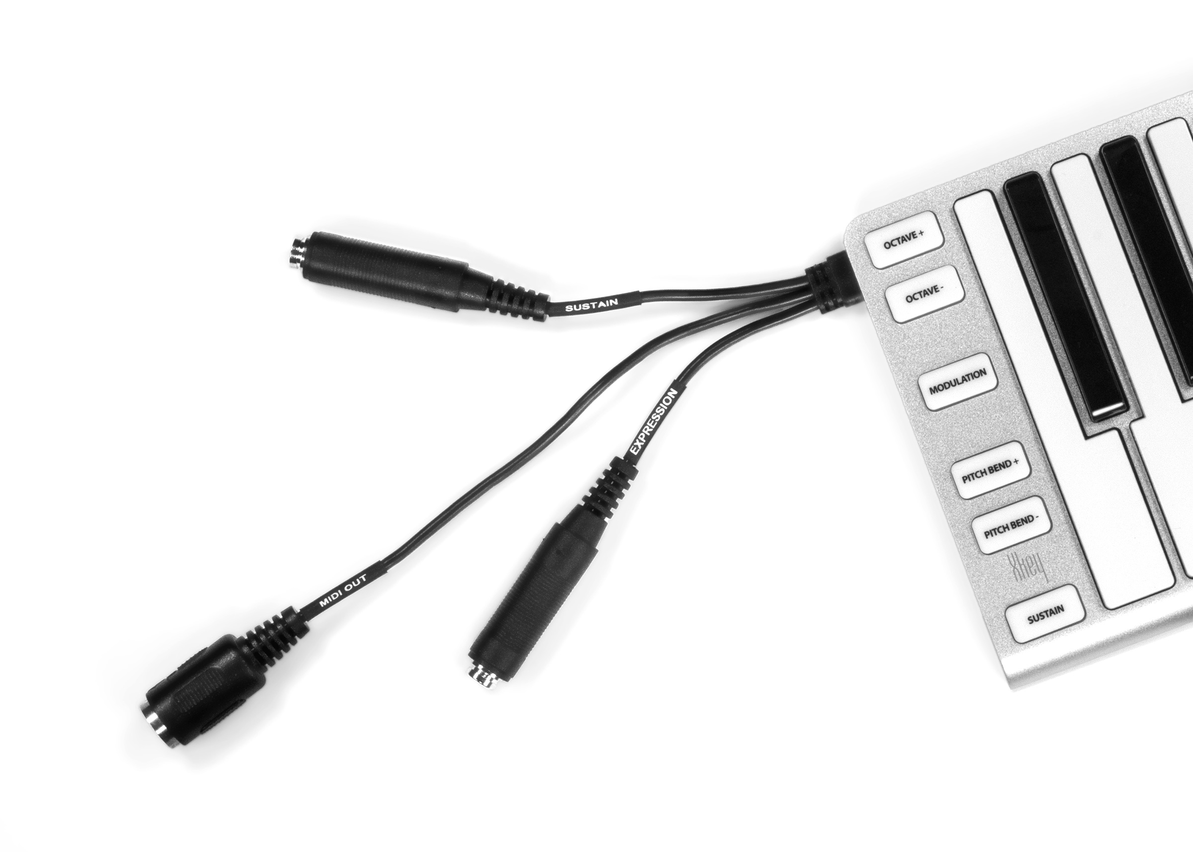 Xkey 37 - Dirigent | ディリゲント