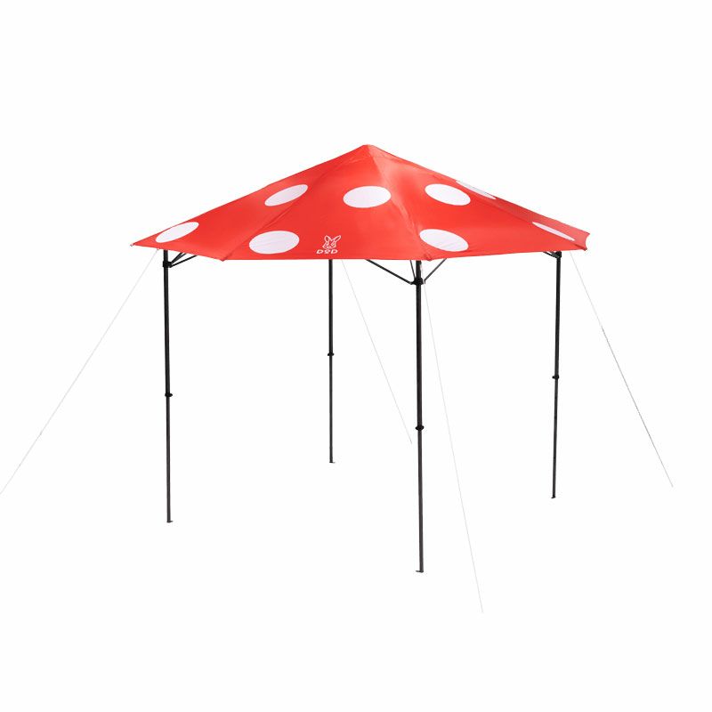 ドラミン】棚キノコ 付コルクシェルターM ③④ 棚キノコ 付コルク