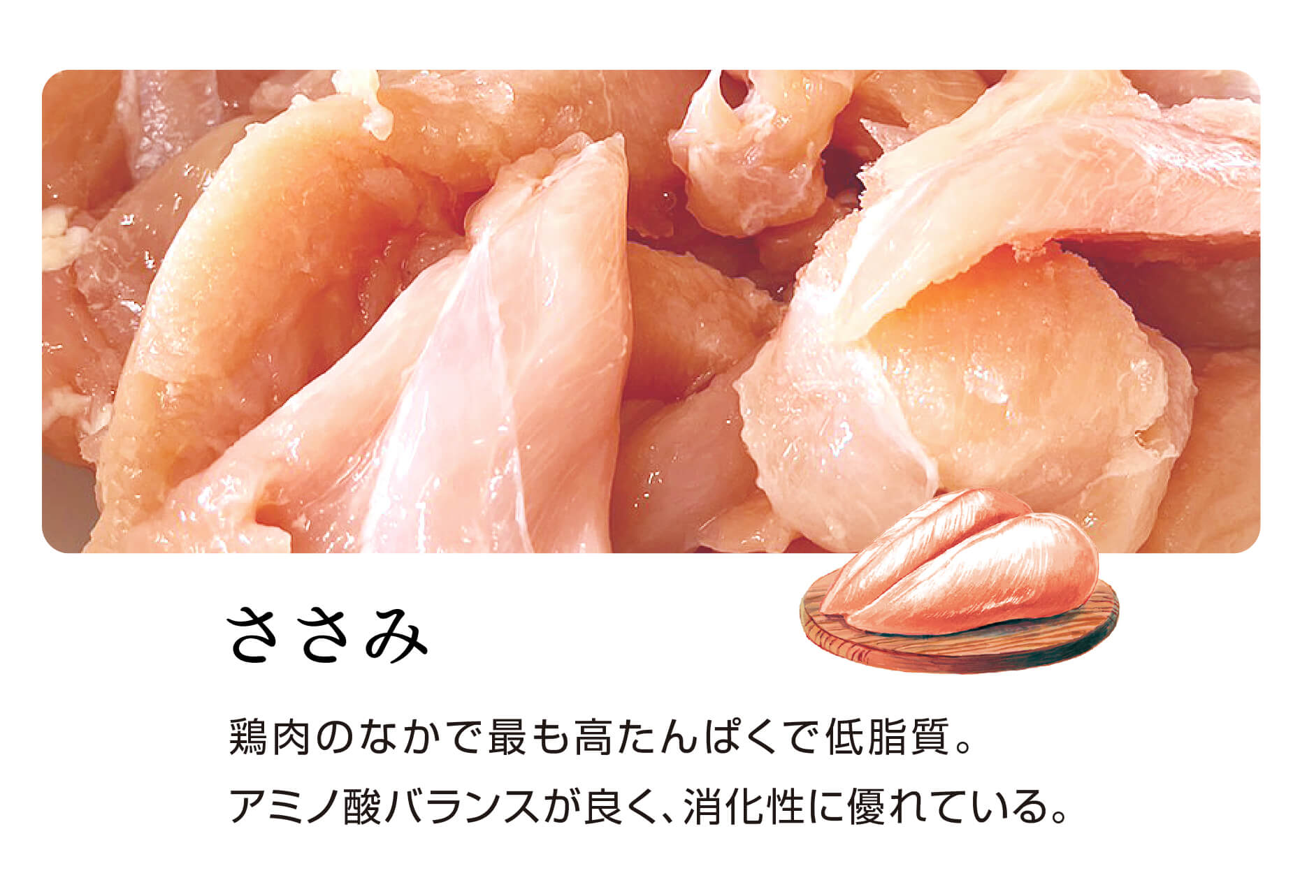 ドッグフード】ささみと25種類のこだわり具材 | DOGTREE｜公式通販サイト