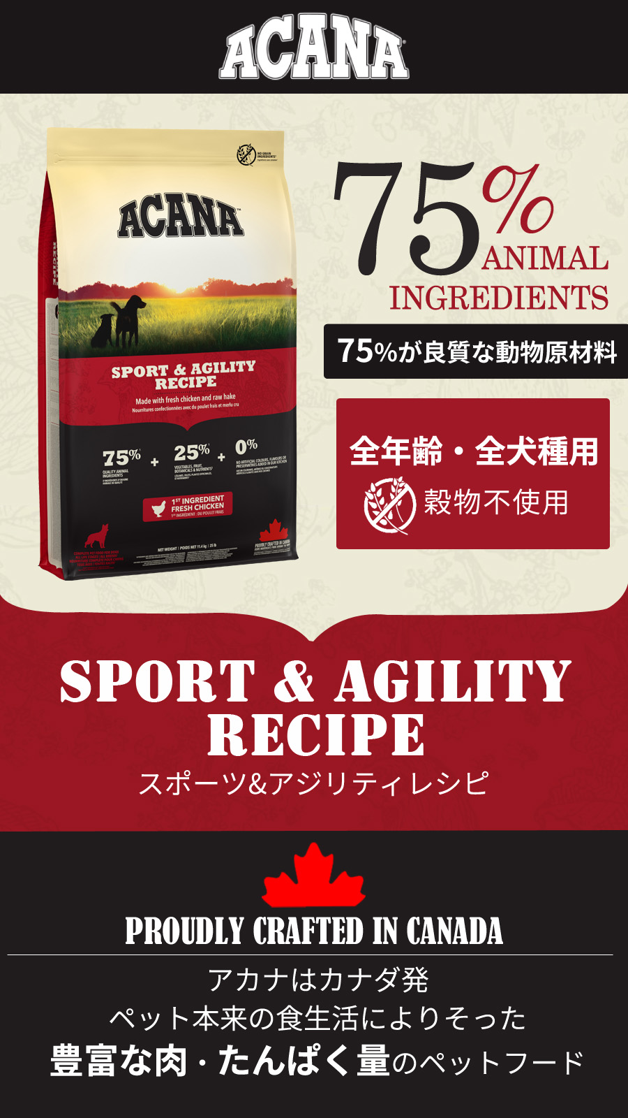 アカナ スポーツ＆アジリティレシピ」は、活動量が多くエネルギッシュ