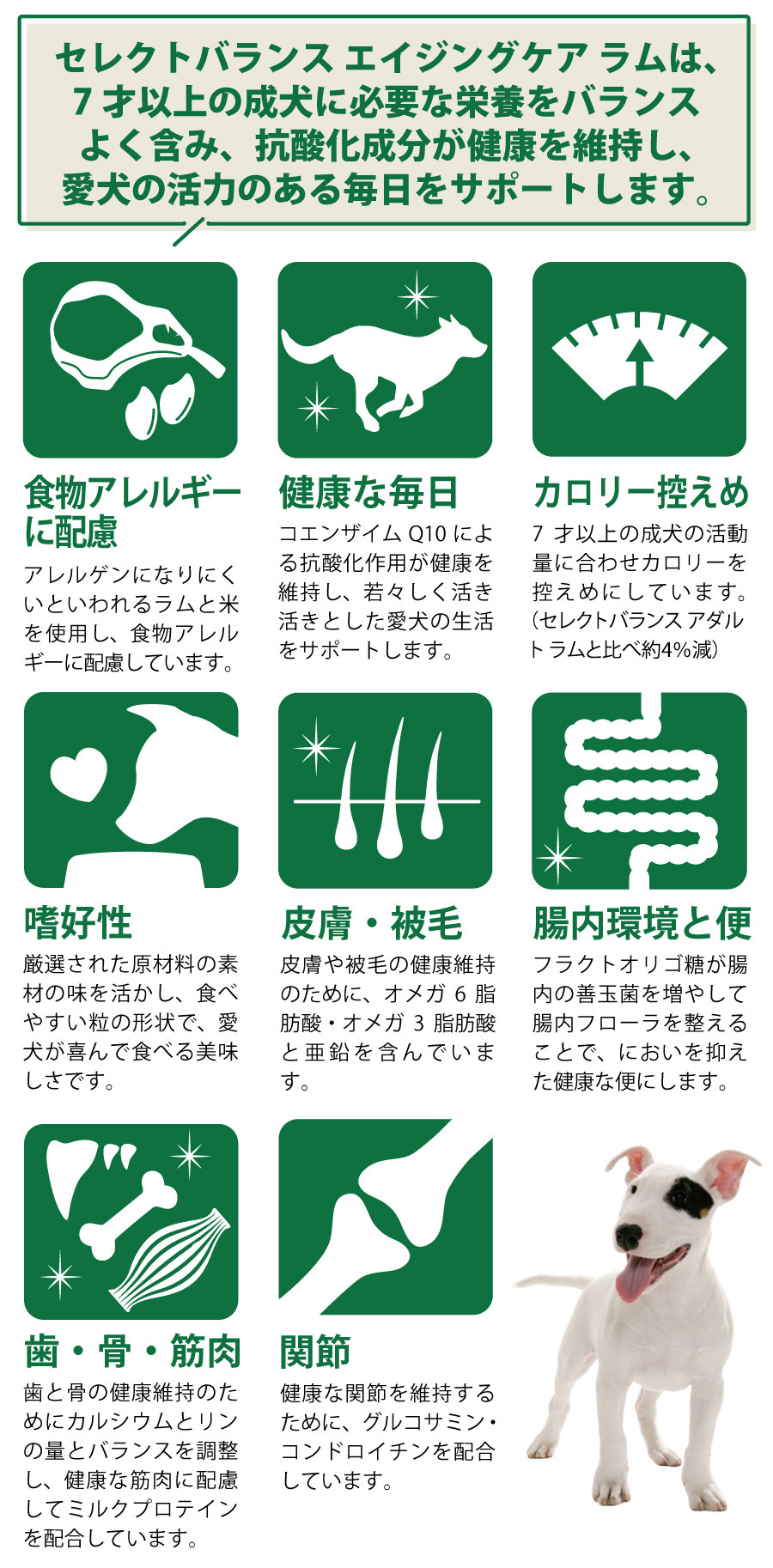 セレクトバランス エイジングケア ラム 小粒 7kg