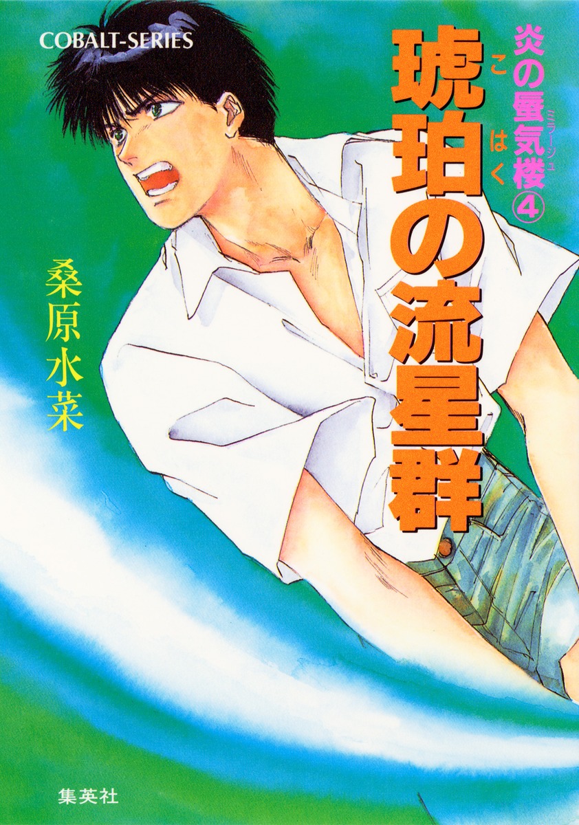 炎の蜃気楼シリーズなど計48冊 桑原水菜 値引き交渉大歓迎 炎の