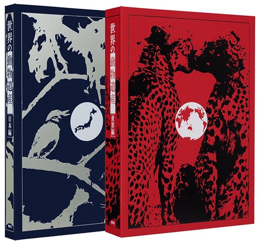 シャングリラ・フロンティア 当選品 メタリック複製原画 週刊少年