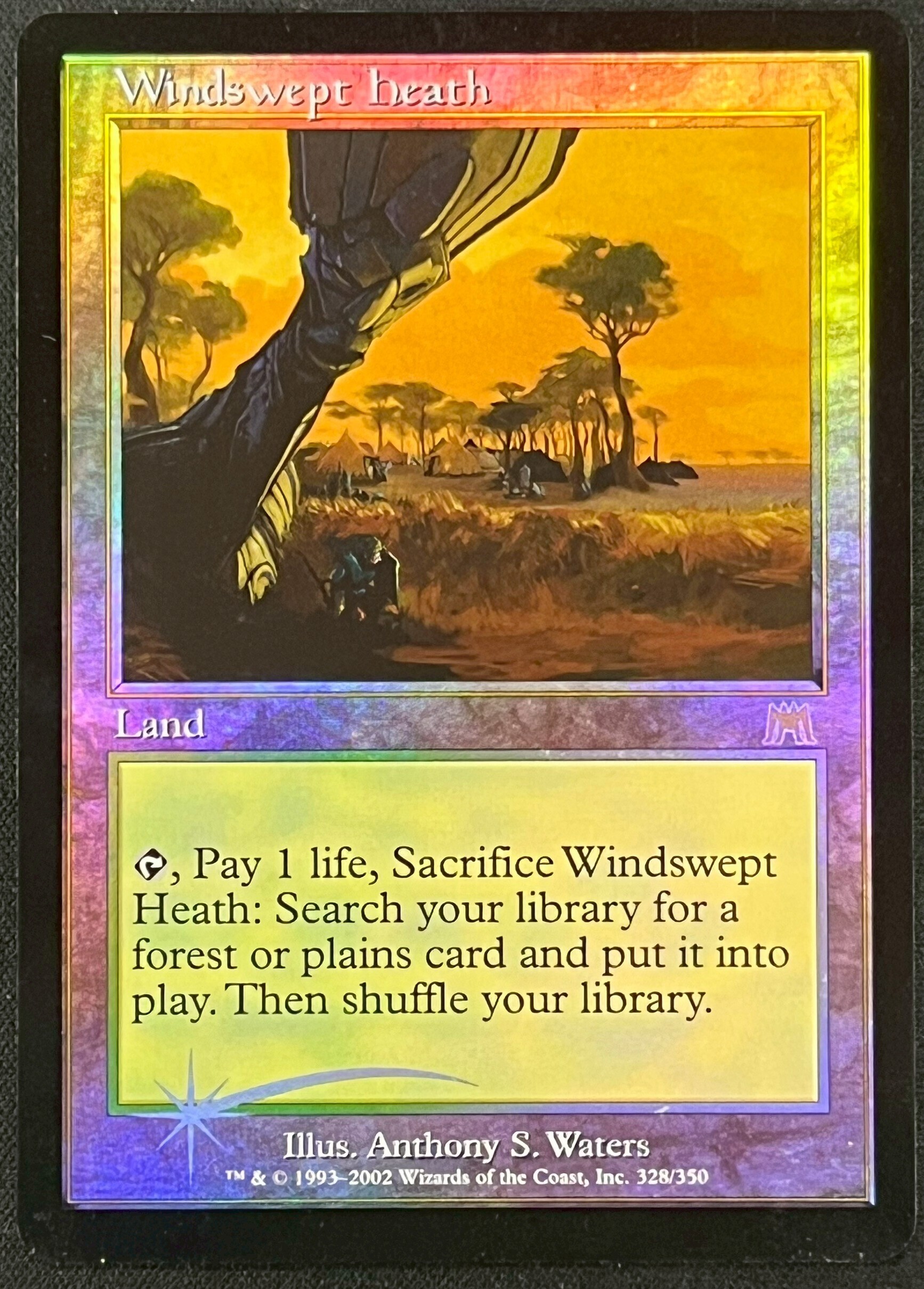 MTG 吹きさらしの荒野 Foil フォイル 英語版 吹きさらしの荒野