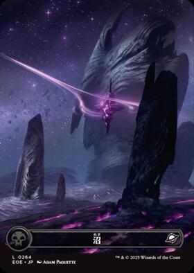 MTG APACランド 沼/Swamp APAC2 16枚セット MTG APACランド 沼/Swamp