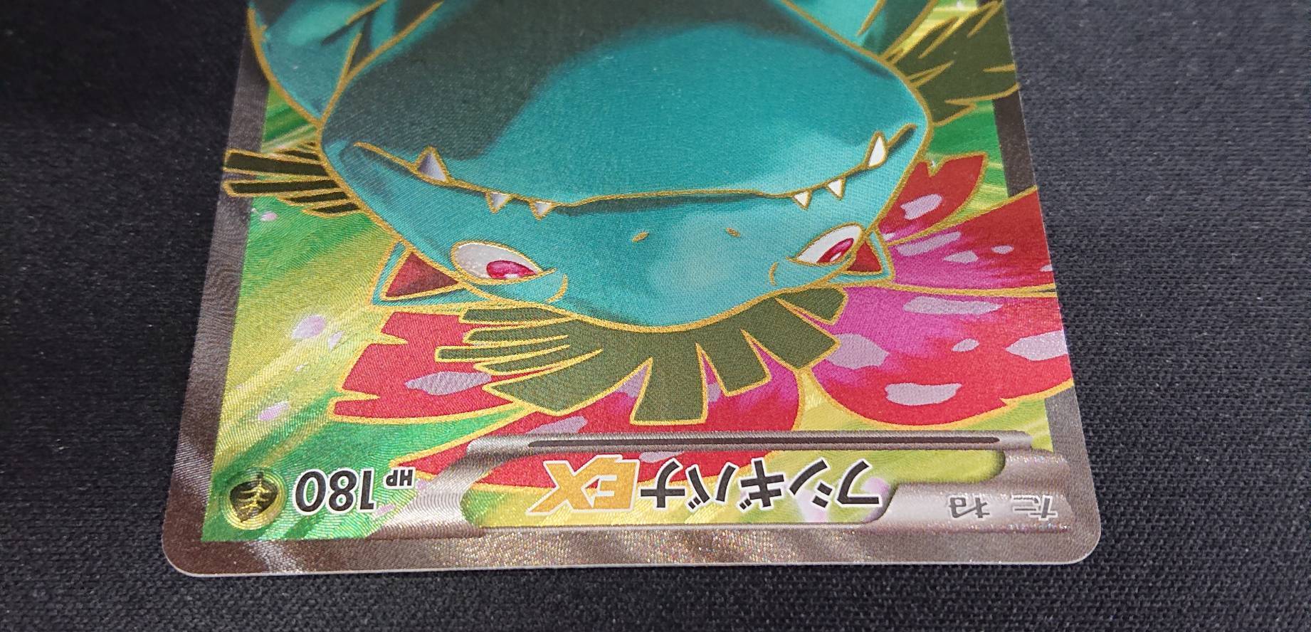 フシギバナEX(061/060 SR) | 未登録 | ドラゴンスター | ポケモンカード