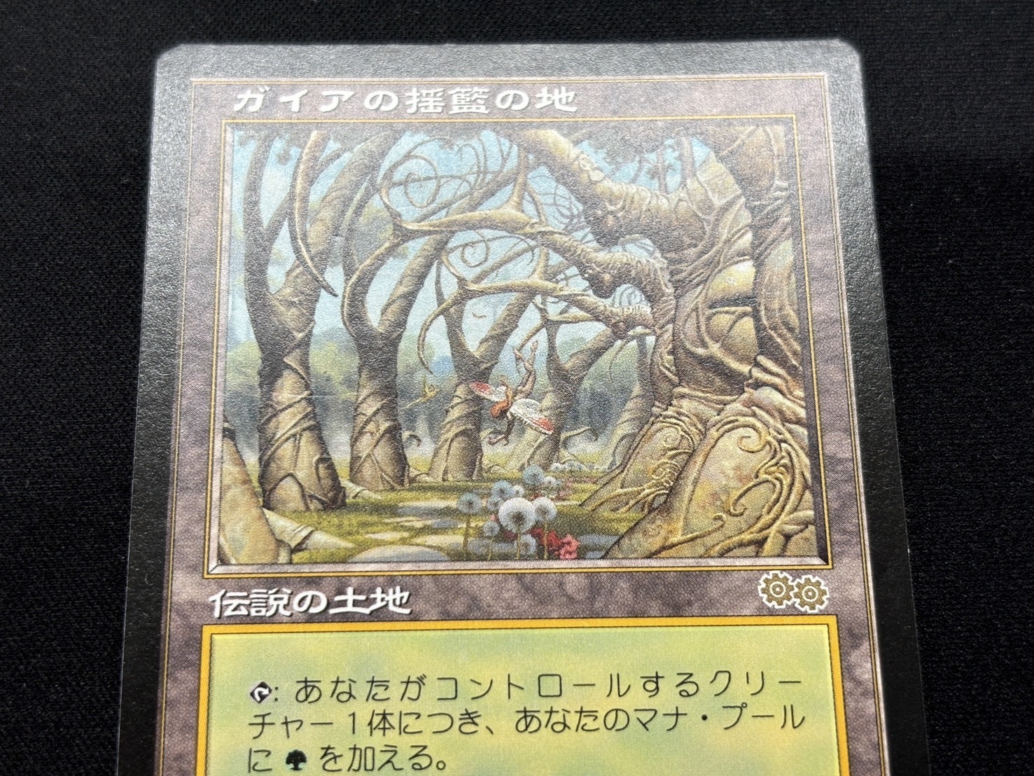 ガイアの揺籃の地 1枚 ガイアの揺籃の地/Gaea's Cradle 日本語版1枚