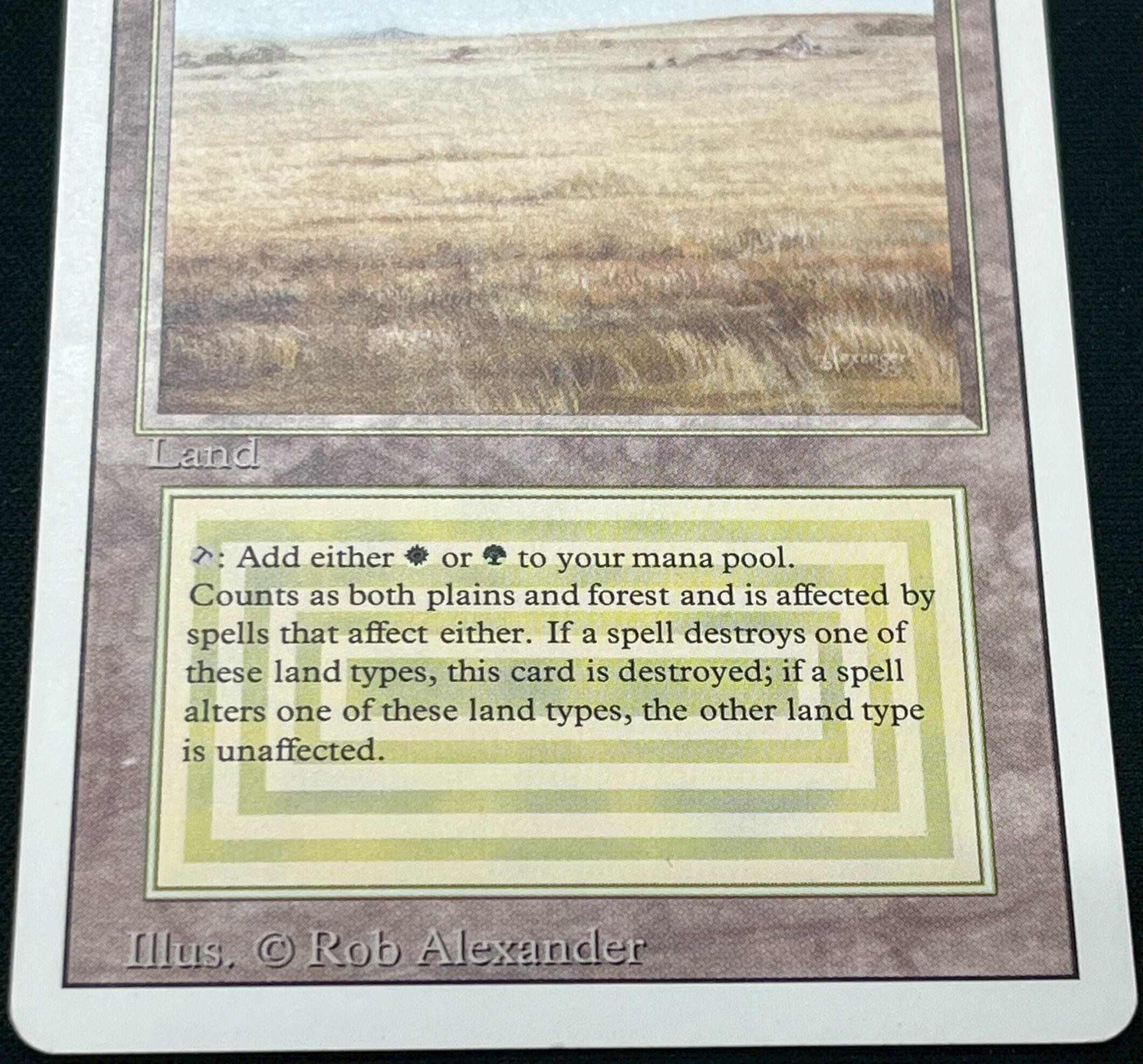 マジック：ザ・ギャザリング MTG Savannah 3ED PSA9 Savannah》[3ED
