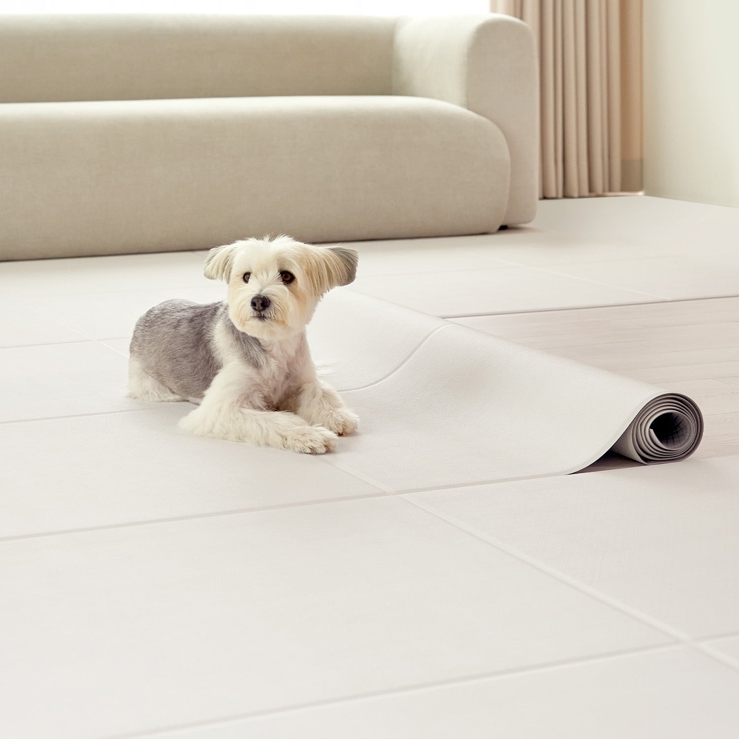 韓国大人気ブランド】DoriDori ペットサークル ホワイト&ペット