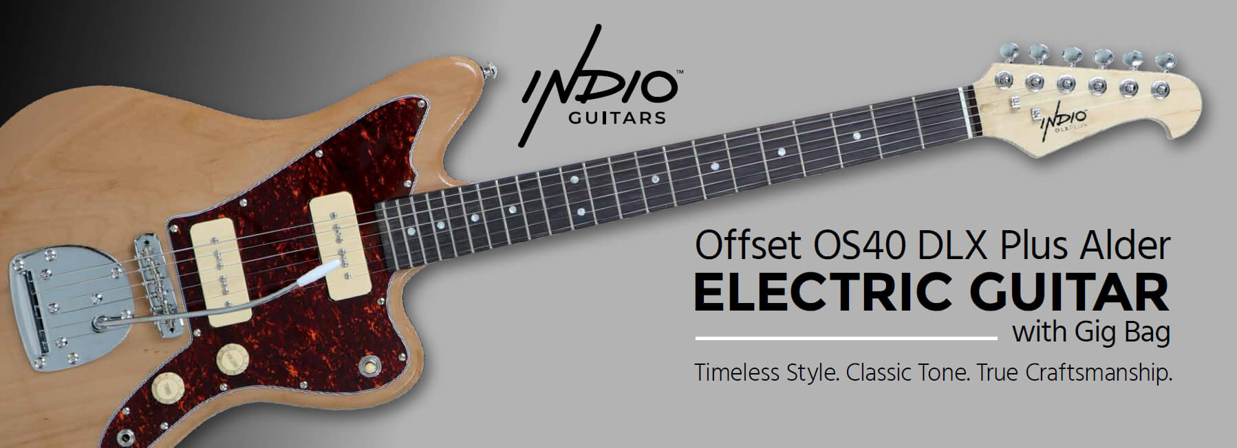 ギター DeliciousTaylormade FUXXONLY AntiguaLTD ギター