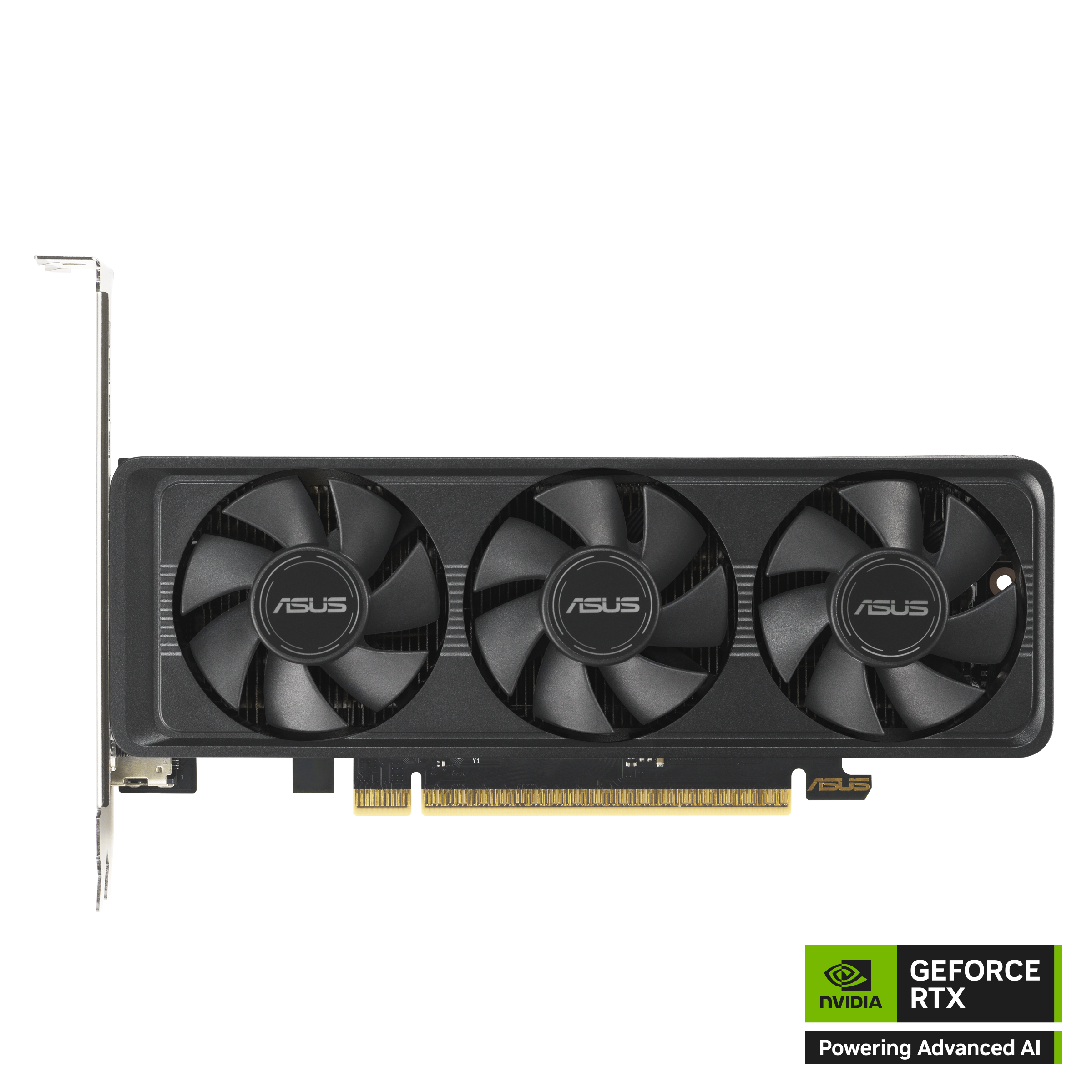 ASUS GeForce RTX™ 5060 LP BRK 8GB GDDR7
