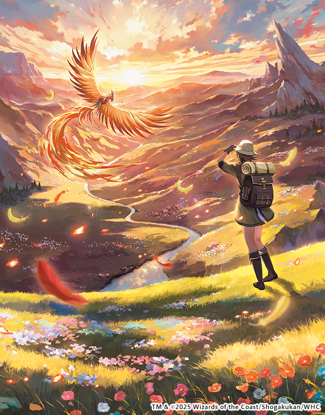 流星のガイアッシュカイザー 4枚 神アート アセビ見聞録 流星のガイ