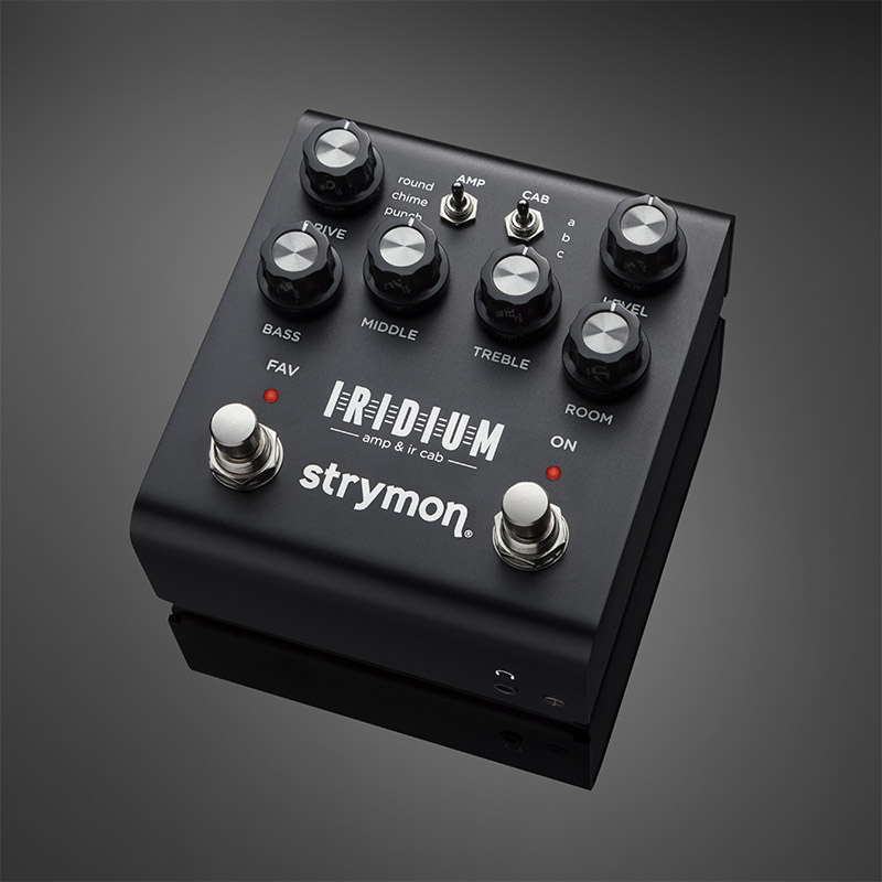 ギター STRYMON side ギター Strymon side ギター STRYMON side 楽天