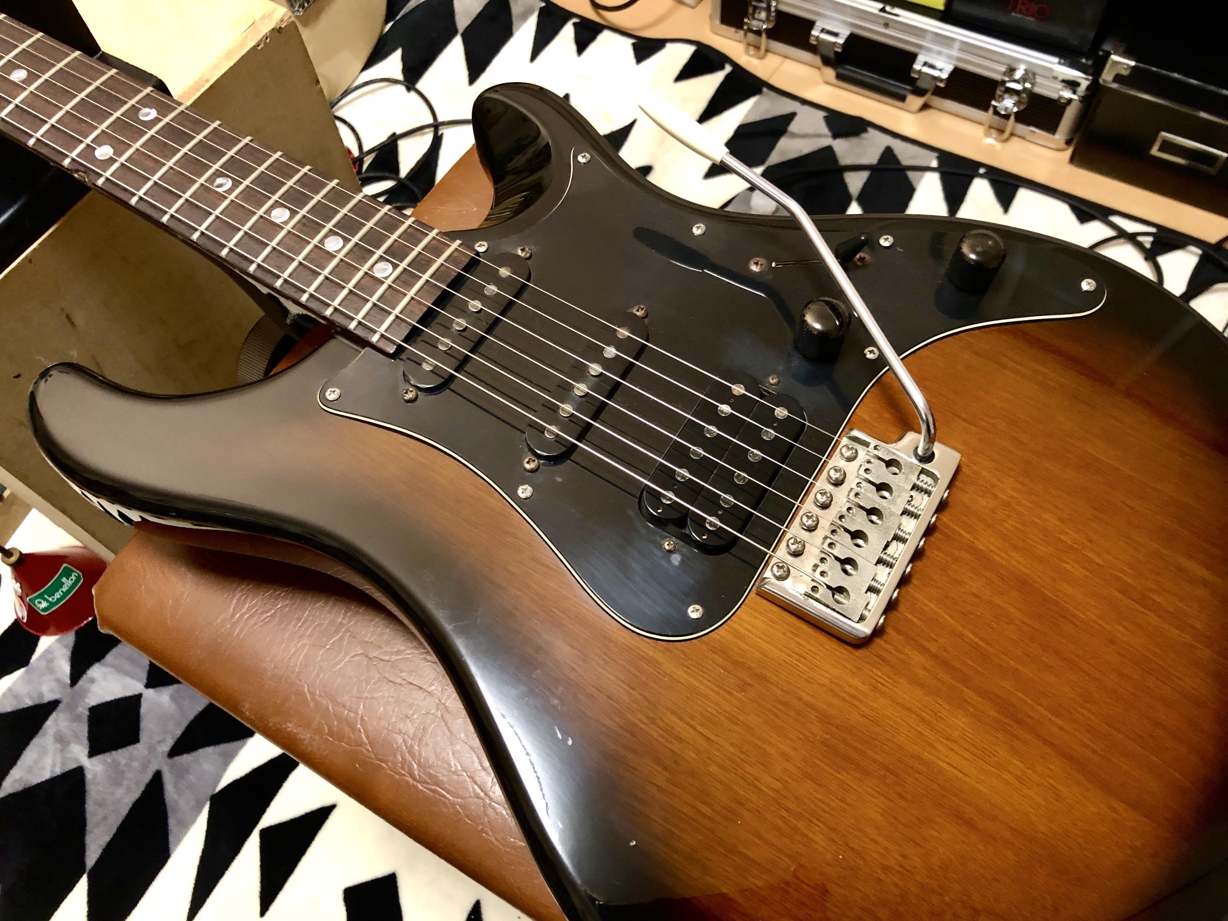 Paul Reed Smith PRS SE EG – scrapbook