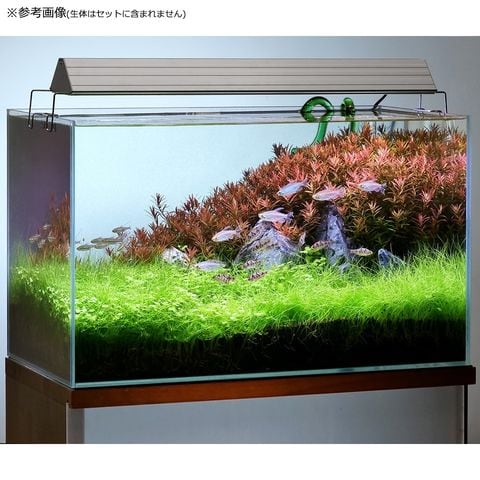 60cm水槽全部込み