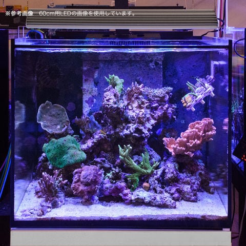 アクロ TRIANGLE LED VIVID 900 ライト スタンド付き TRIANGLE LED