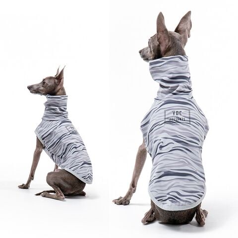 dショッピング |【新作登場】イタリアングレーハウンド ミニピン 服