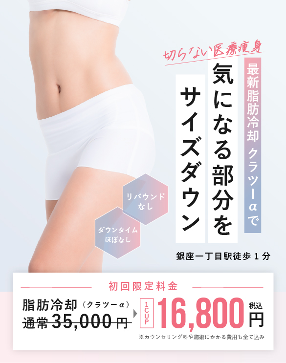 脂肪冷却キャンペーン中2個ハンドピス付き