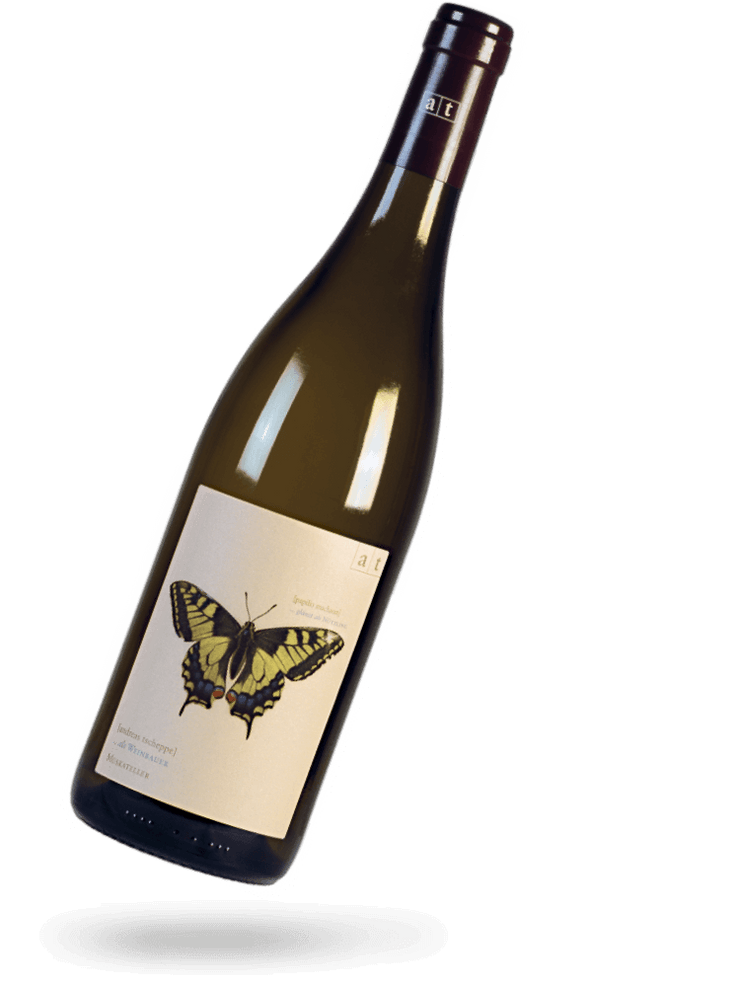 SCHWALBENSCHWANZ 2022, natural wine - Andreas Tscheppe | Drops
