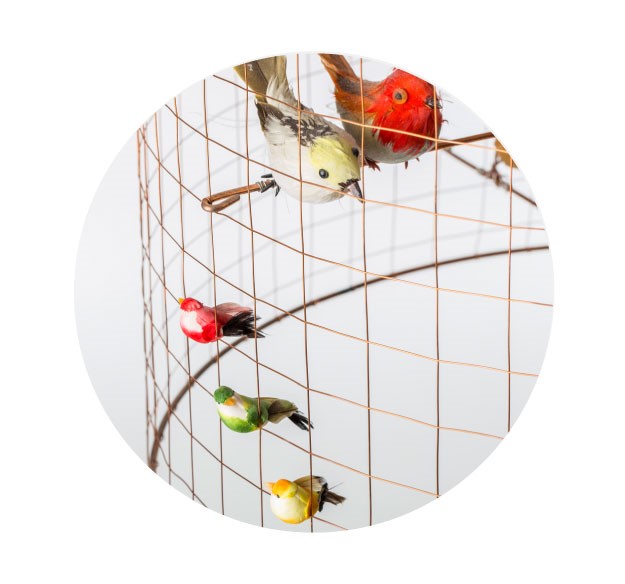 LA VOLIERE | The Conran Shop（ザ・コンランショップ）