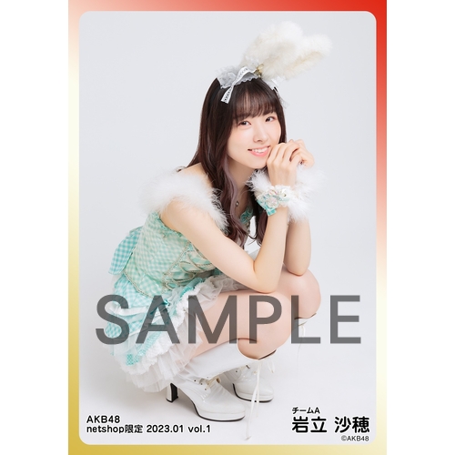 AKB48 岩立沙穂 トレ netshop 生写真 36枚 2014年