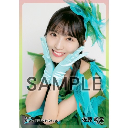 予約商品】AKB48 2024年5月度 net shop限定個別生写真5枚セットvol.1