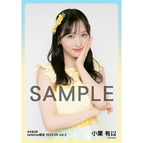 予約商品】AKB48 2024年5月度 net shop限定個別生写真5枚セットvol.2