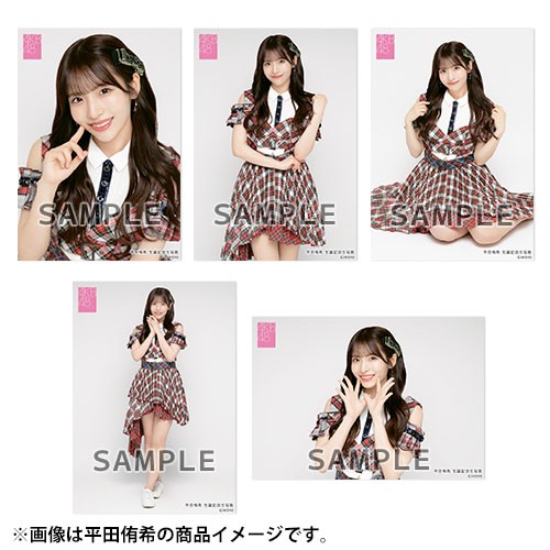 AKB48 生写真 セット 集合 ペア 店舗特典 会場特典等 約300枚 AKB48 生