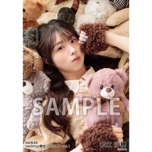 AKB48 2025年11月度 net shop限定個別生写真5枚セットvol.1 | AKB48