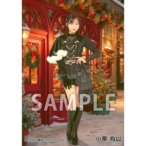 予約商品】AKB48 2025年12月度 net shop限定個別生写真5枚セットvol.2