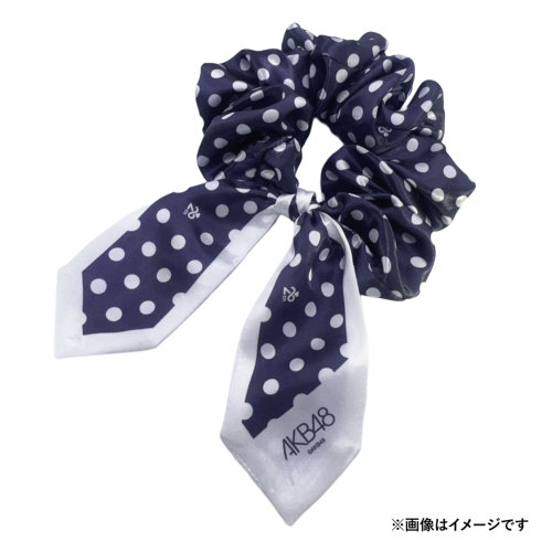 予約商品】AKB48 20周年記念 スカーフシュシュ | AKB48 Official Shop
