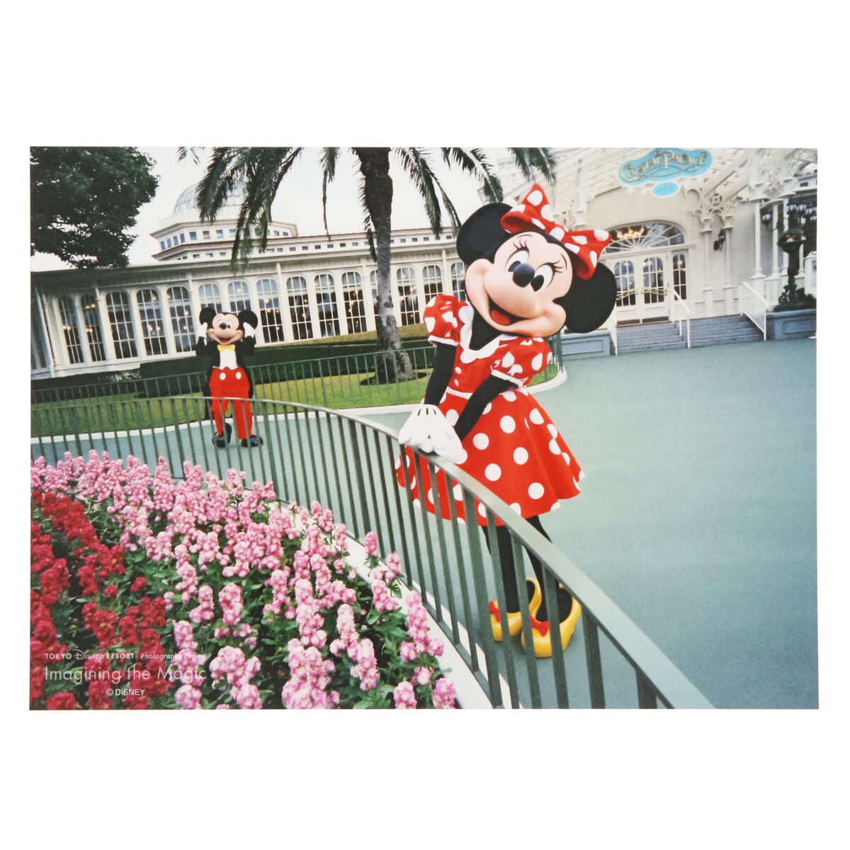 ディズニー 実写 タペストリー imagining the magic ディズニー 実写