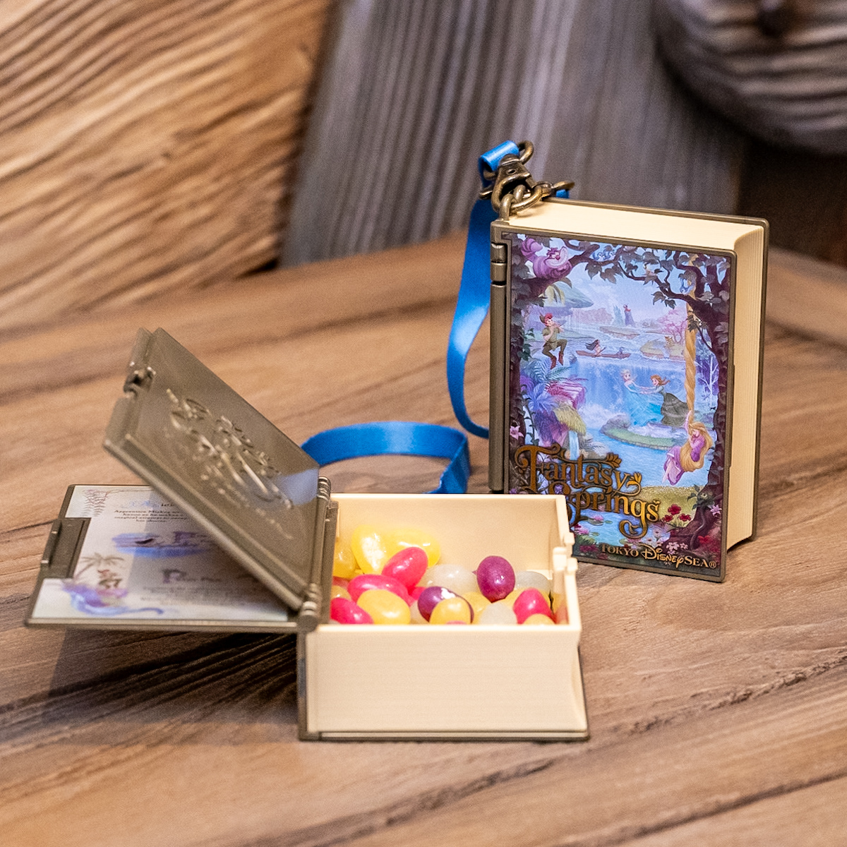 本の形のスーベニアグッズ！東京ディズニーシー「ファンタジー