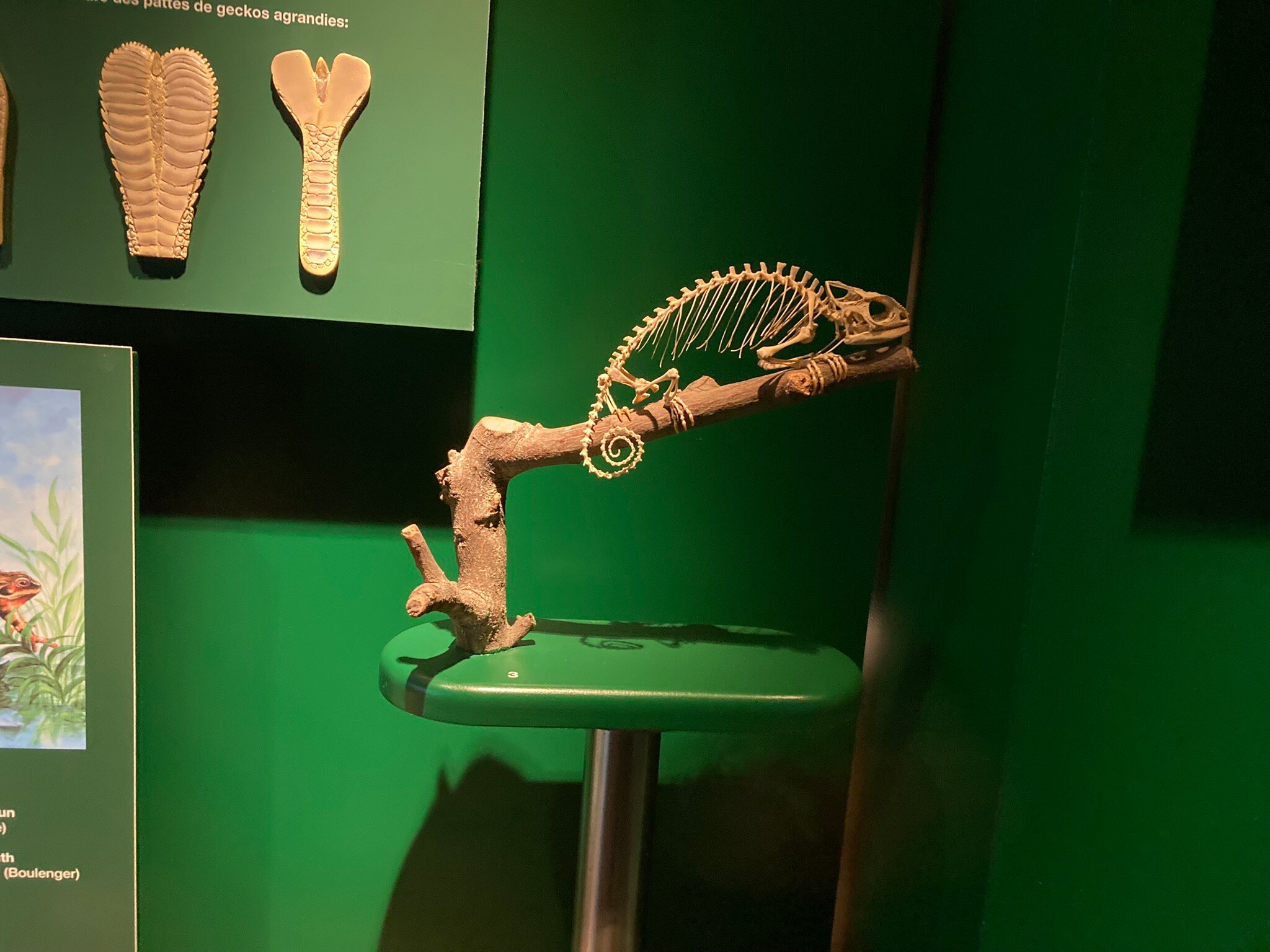 2026年 自然史博物館 - 出発前に知っておくべきことすべて