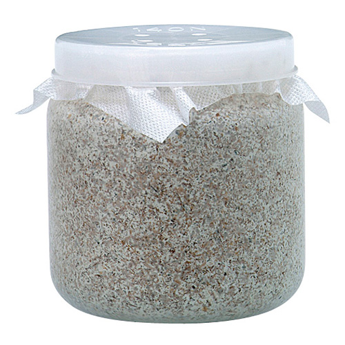 オオヒラタケ菌糸ビン 1400 - 株式会社ミタニ