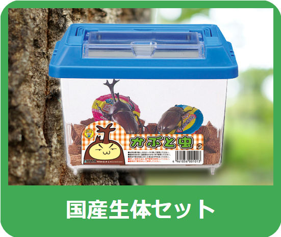 プラケース 特大 フラット - 株式会社ミタニ